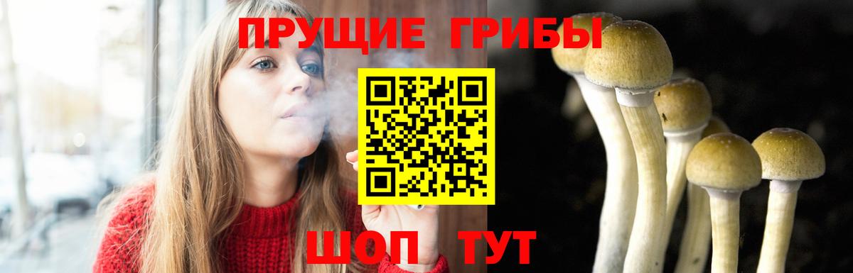 Большой Камень  Галлюциногенные грибы Magic Shrooms  Псилоцибиновые грибы Cubensis  Вход с VPN 